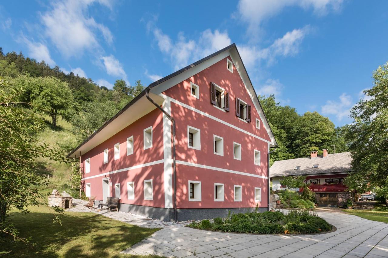Homestead Farm Tesnak Gorenja Vas  Extérieur photo